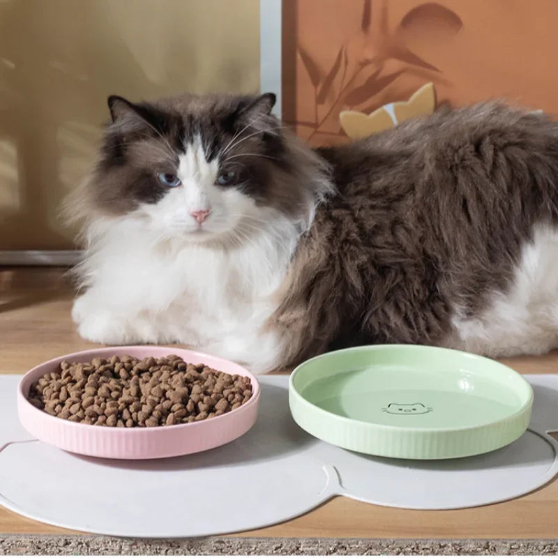 Ceramic Tableware for Pets | Curator Collection